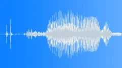 ICE Hockey puck hit rink 34Sound Effect
