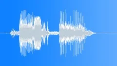 ICE Hockey stick drop on rink 06Sound Effect