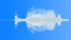 ICE Hockey stick hit board 14 Sound Effect