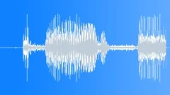ICE Hockey stick hit rink 49Sound Effect
