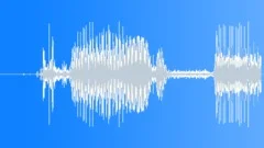 ICE Hockey stick short scrape 81 Sound Effect