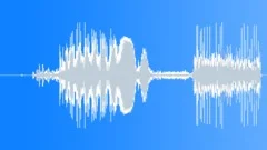 ICE Hockey stick strike puck 08Sound Effect