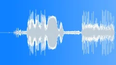 ICE Hockey stick strike puck 10Sound Effect