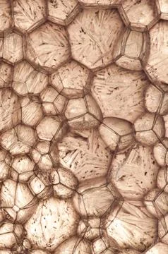 Ice Illustrazione stock