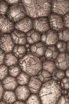 Ice Illustrazione stock