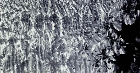 Ice Islands On Window Stock Footage 237995223