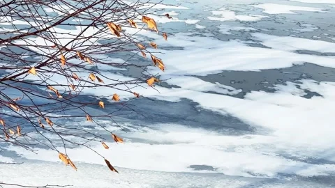 Ice on the lake in winter. Stock Footage 298180040