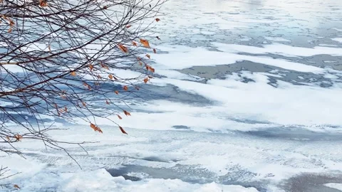 Ice on the lake in winter. Stock Footage 298180055