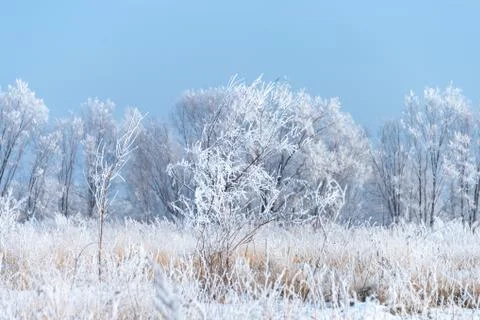 Ice landscape in winter Stock Photos