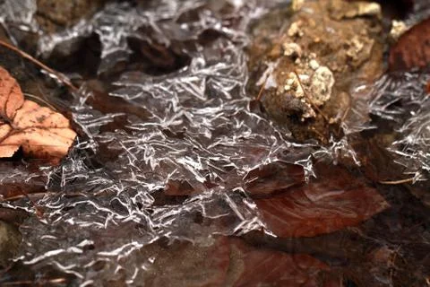 Ice macro Stock Photos