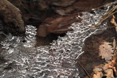 Ice macro Stock Photos