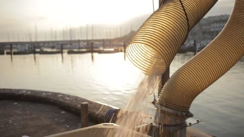 Ice making machine, ice chunks pumping out at fish market, sunrise Video stock 233206116