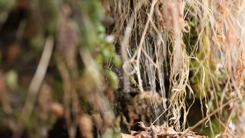 Ice Melting 3 Stock Footage 327869088