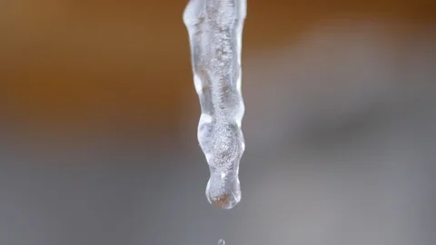 Ice Melting Off Of Icicle Stock Footage 87698134