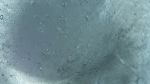 Ice melting super macro time-lapse Vidéo 56701973