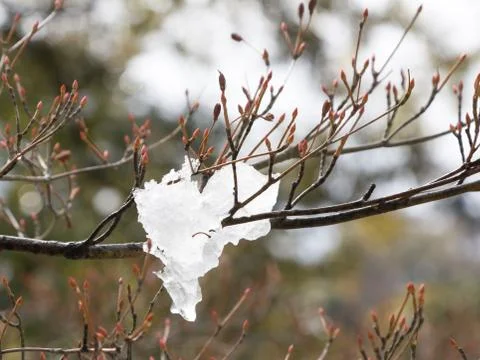 Ice melts Foto stock