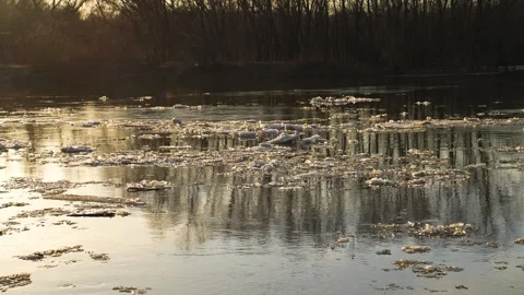 Ice melts river sunset current, cold water sunbeam, riverbank during spring Stock Footage 274513156