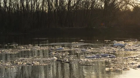 Ice melts river sunset current, river ice breakup, golden hour reflection Stock Footage 282890296