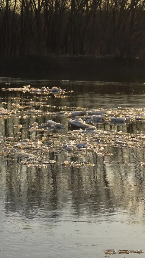 Ice melts river sunset current, fading day warmth, dusk ice breaking, peaceful Stock Footage 301291911