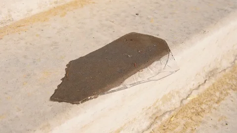 Ice melts on stone under bright sun on warm day. Stock Footage 108808554