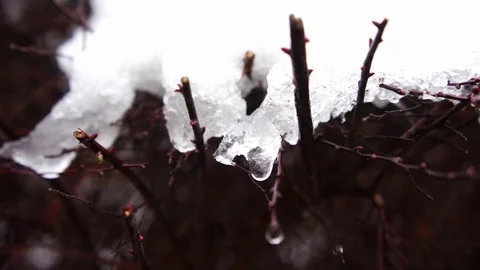 Ice Mleting And Ice Dropping Video stock 82992635