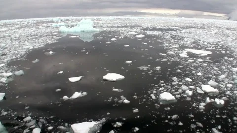 Ice movement and snow in ocean of Antarctica. Stock Footage