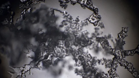 Ice movement in water under a microscope Stock Footage 105663462