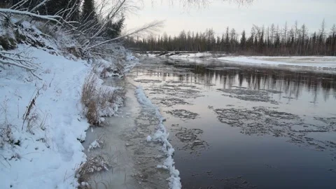 Ice moves along the river in the forest at sunset, natural conditions, Stock Footage 163882256