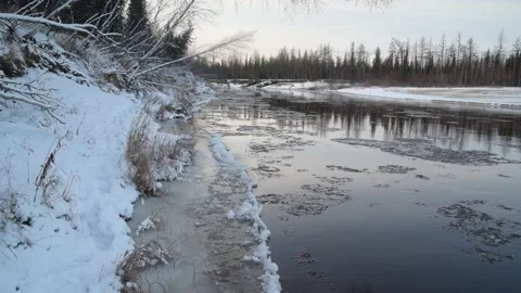 Ice moves along the river in the forest at sunset, natural conditions, Stock Footage 163882294