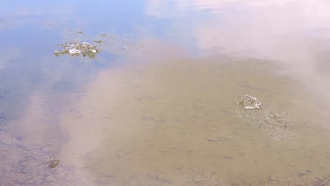 Ice moves down river, creating a fascinating picture of floating ice Stock Footage 278032869