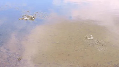 Ice moves down river, creating a fascinating picture of floating ice Foto stock