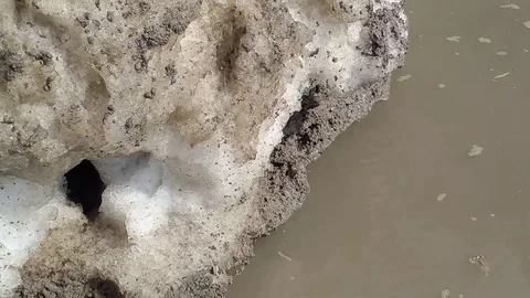 Ice, Muddy water, garbage Stock Footage 88886857