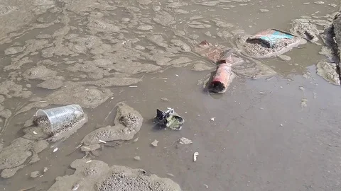 Ice, Muddy water, garbage Stock Footage 88886890