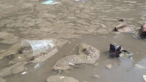 Ice, Muddy water, garbage Stock Footage 88886892