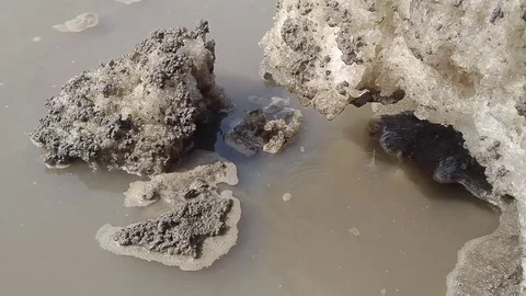 Ice, Muddy water, garbage Stock Footage 88886914