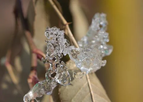 Ice in nature. macro Stock Photos