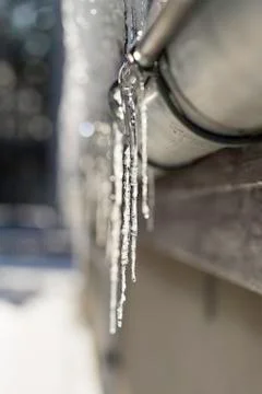 Ice needles in Gutter Stock Photos
