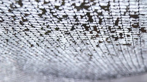 Ice In Net - Texture Stock Footage 158427906