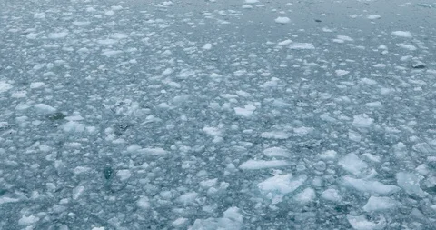 Ice on the Ocean Stock Footage 92908449