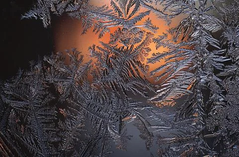 Ice pattern and sunlight on winter window Stock Photos