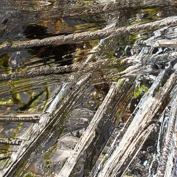 Ice pattern on a shallow puddle of water Stock Photos