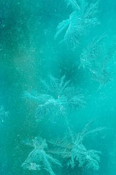 Ice Pattern on window in Winter time Stock Photos