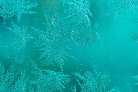 Ice Pattern on window in Winter time Stock Photos