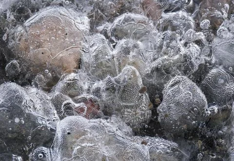 Ice Patterns and Air Bubbles within Ice Blocks at Fjallsarlon Iceberg Lagoon, Stock Photos