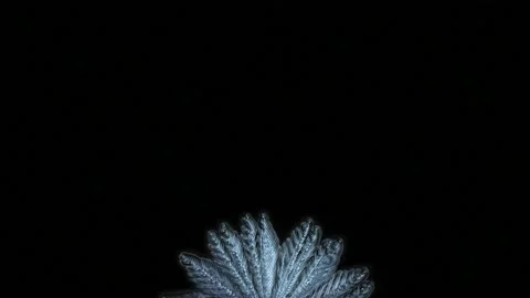 Ice patterns on the glass Stock-Footage 146704419