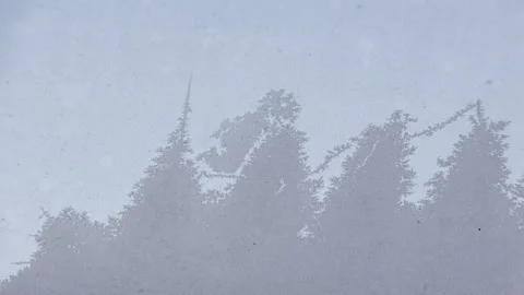 Ice Patterns On Winter Window Stock Footage 163913716