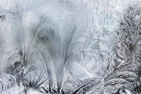 Ice patterns on a winter window Stock Photos