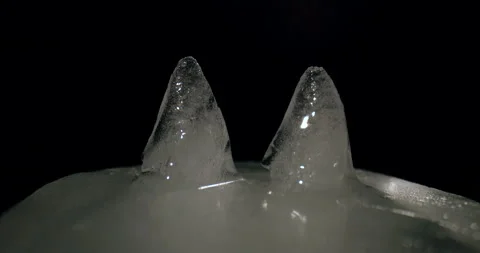 Ice Penguin Front View Melts 30 seconds Stock Footage 171176301