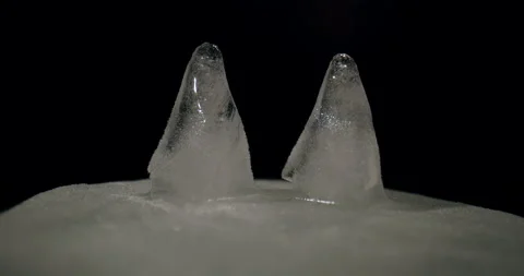 Ice Penguin Front View Melts 45 seconds Stock Footage 171176427