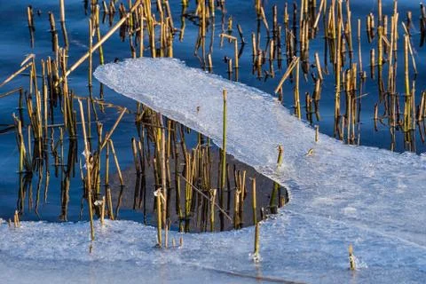 Ice Stock Photos
